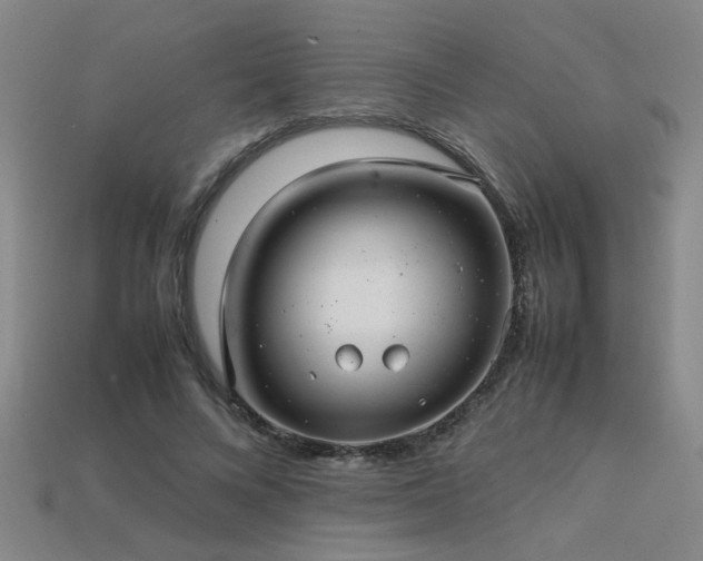 X0000113620688200909181440