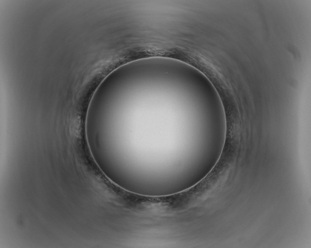 X0000113620689200909181440