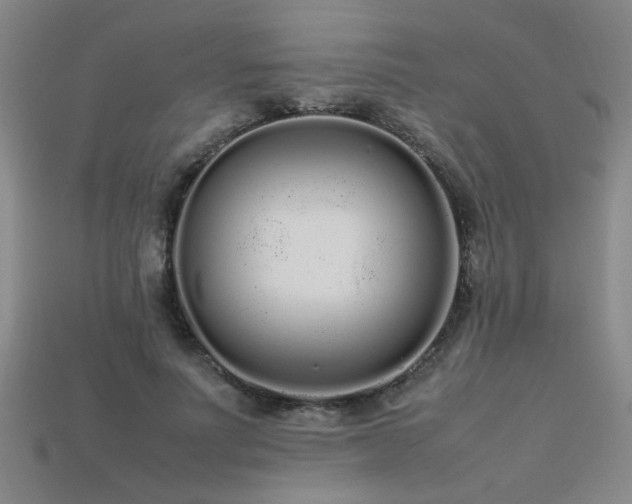 X0000113620691200909181440