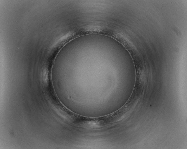 X0000113620692200909181440