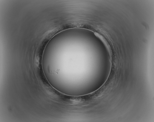 X0000113620693200909181440