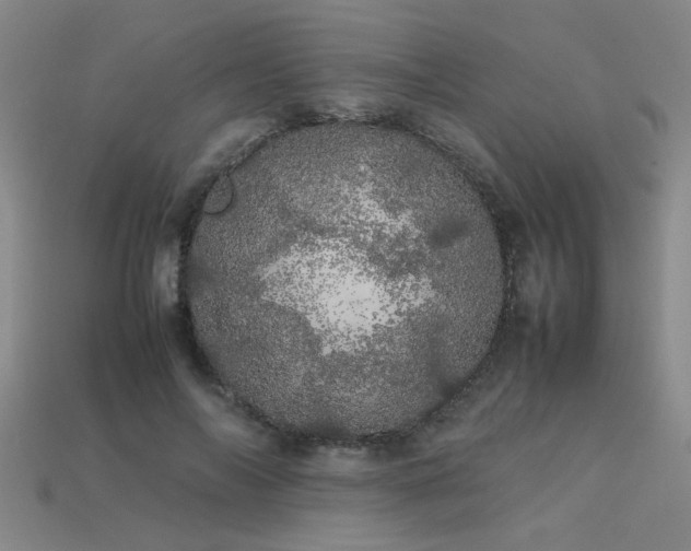 X0000113620694200909181440