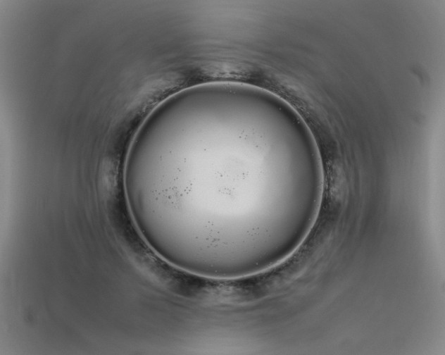 X0000113620695200909181440