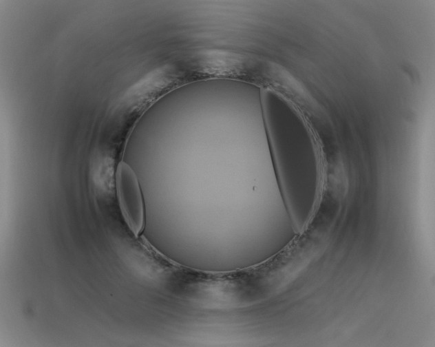 X0000113620696200909181440