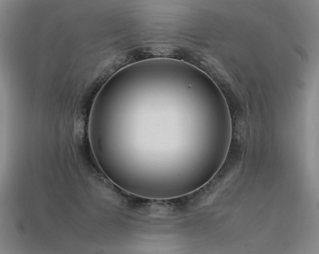 X0000113620697200909181440