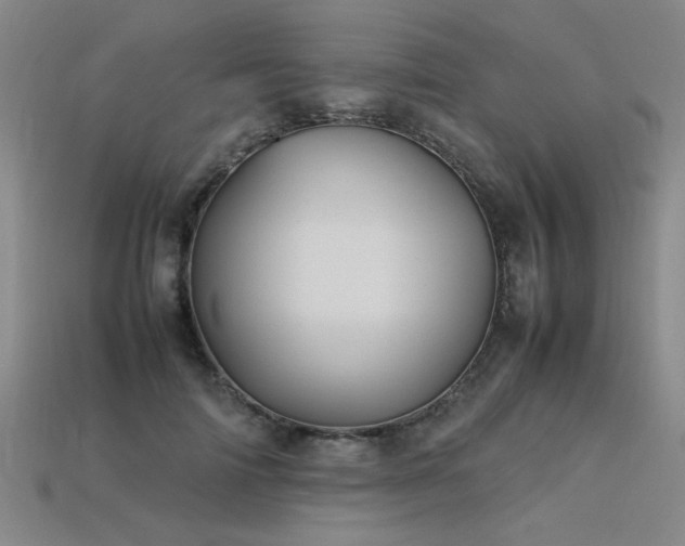 X0000113620698200909181440