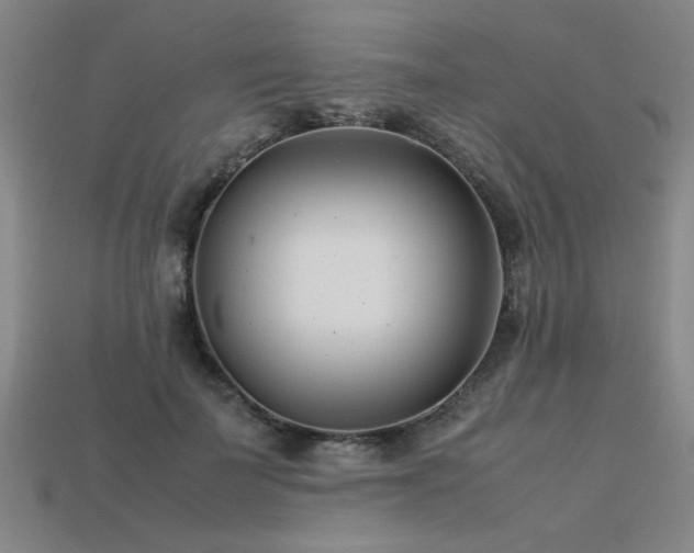 X0000113620699200909181440