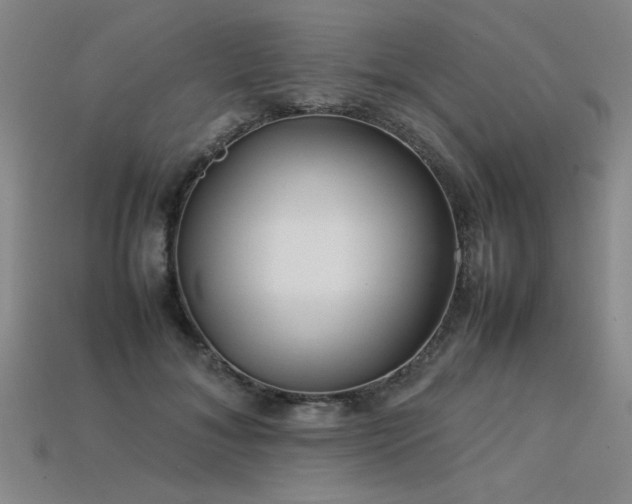 X0000113620700200909181440