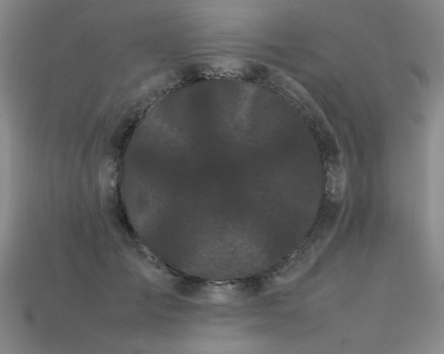 X0000113620701200909181440