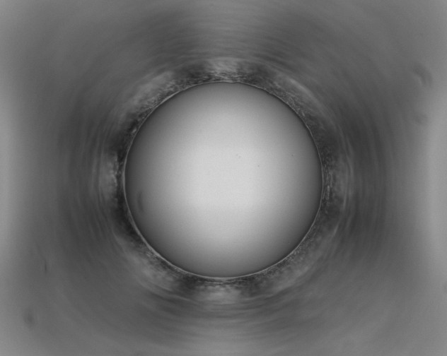 X0000113620702200909181440