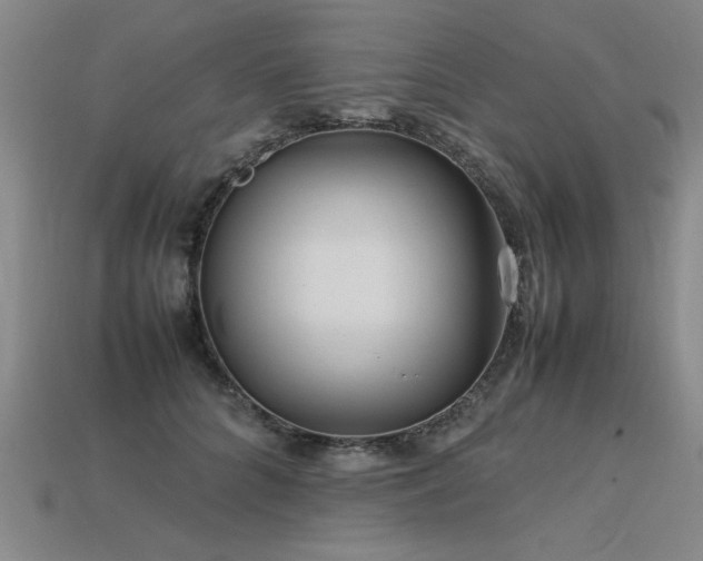 X0000113620704200909181440