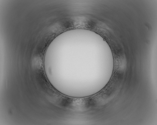 X0000113620705200909181440