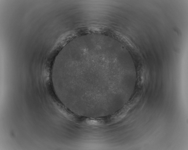 X0000113620706200909181440