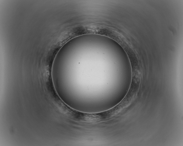 X0000113620707200909181440