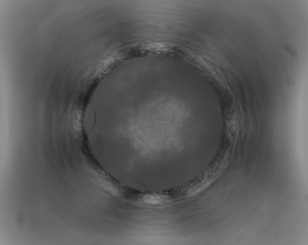 X0000113620708200909181440