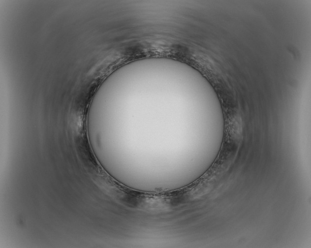 X0000113620709200909181439