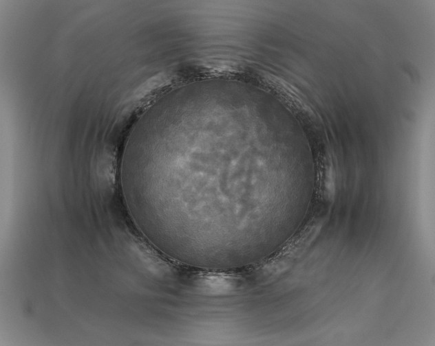 X0000113620710200909181439