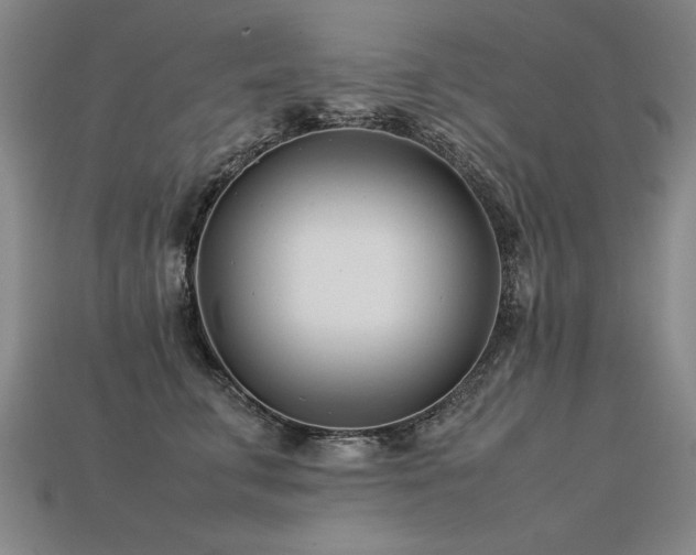 X0000113620711200909181439