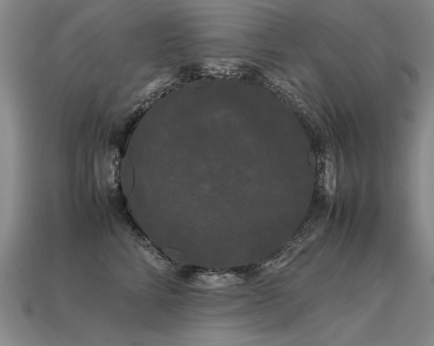 X0000113620712200909181439