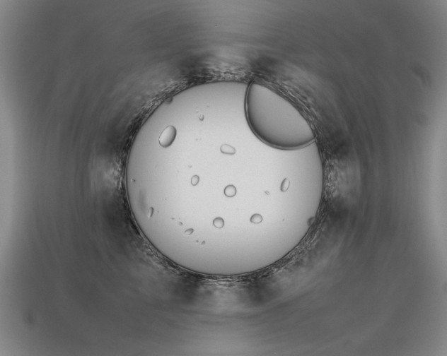 X0000113620713200909181439