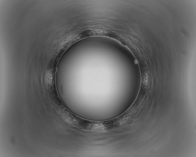 X0000113620715200909181439