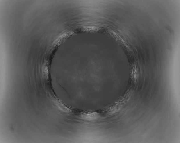 X0000113620716200909181439