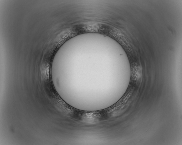 X0000113620717200909181439