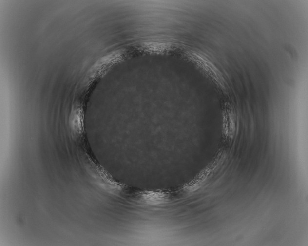 X0000113620718200909181439