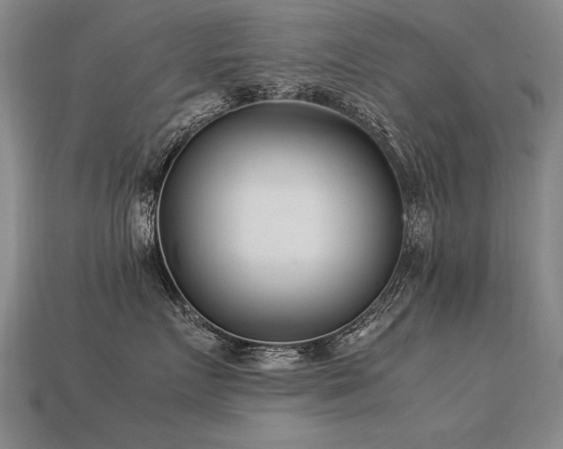 X0000113620719200909181439