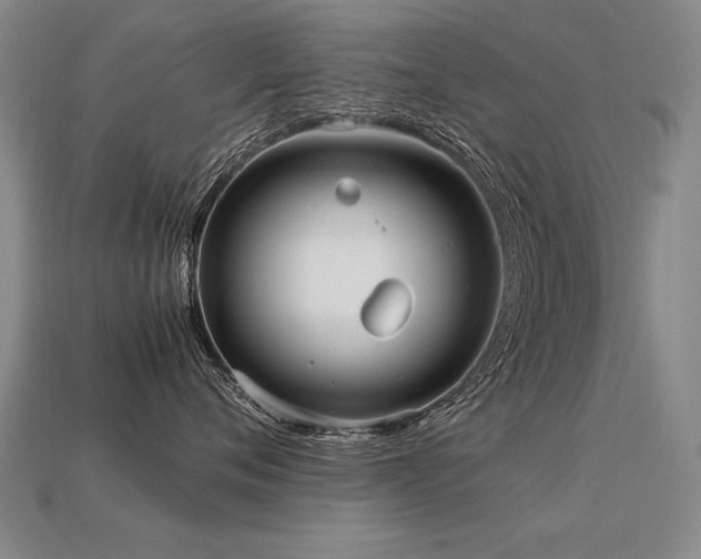 X0000113620720200909181439