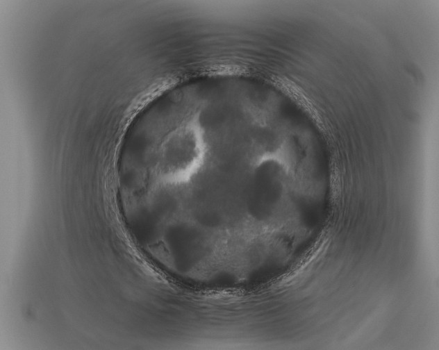 X0000113620721200909181439