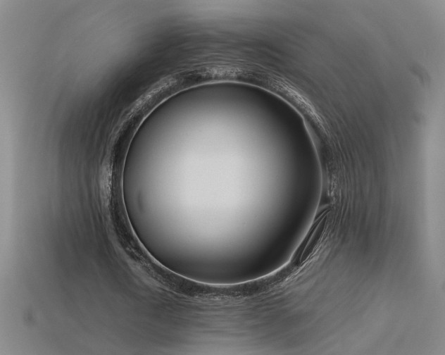 X0000113620722200909181439