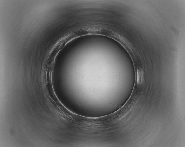 X0000113620723200909181439