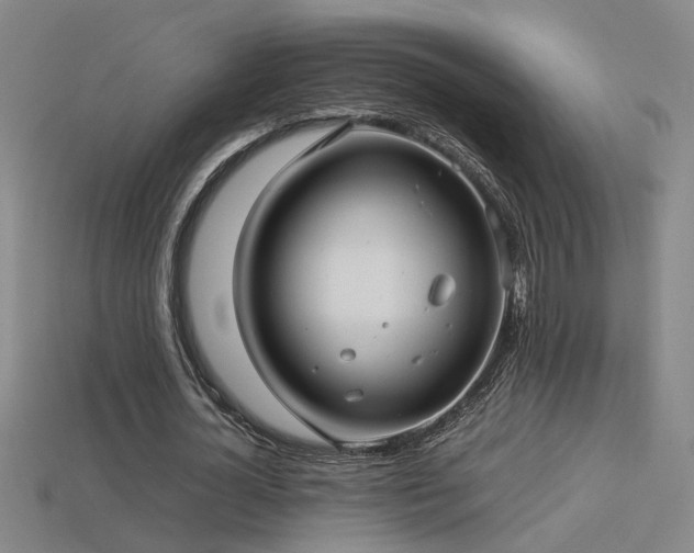 X0000113620724200909181439