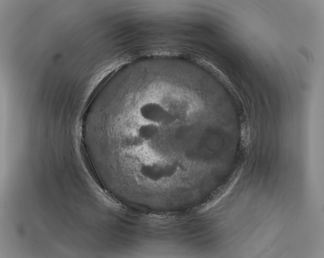 X0000113620725200909181439