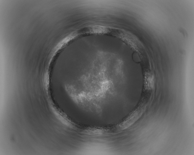 X0000113620726200909181439