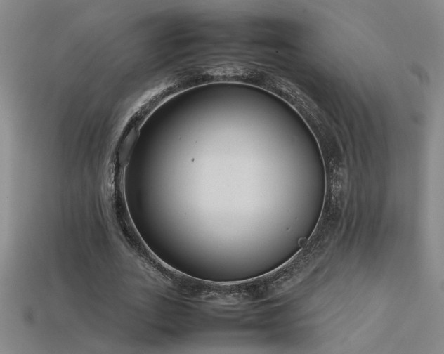 X0000113620727200909181439