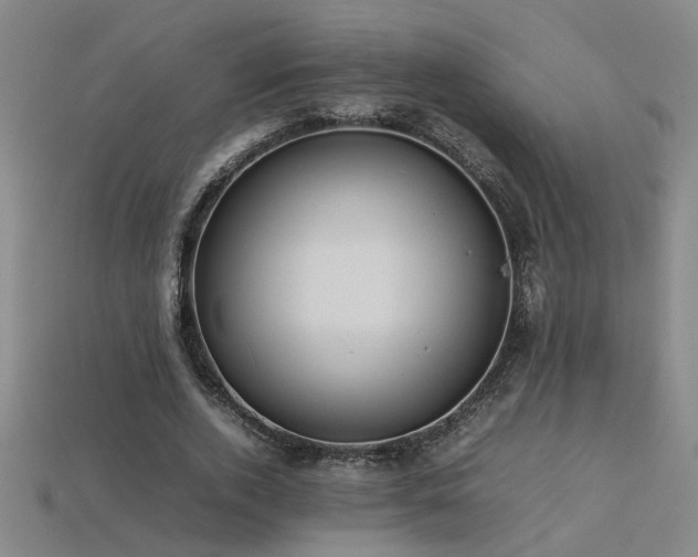 X0000113620728200909181439