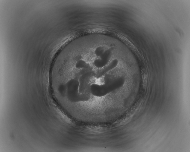 X0000113620729200909181439