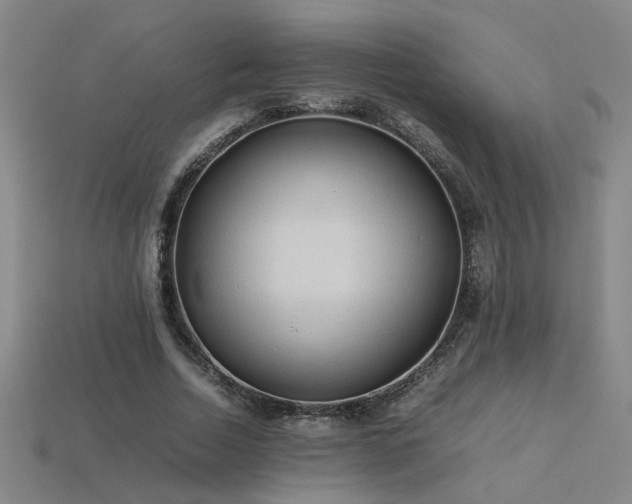 X0000113620730200909181439