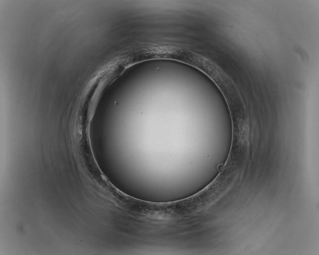 X0000113620731200909181439