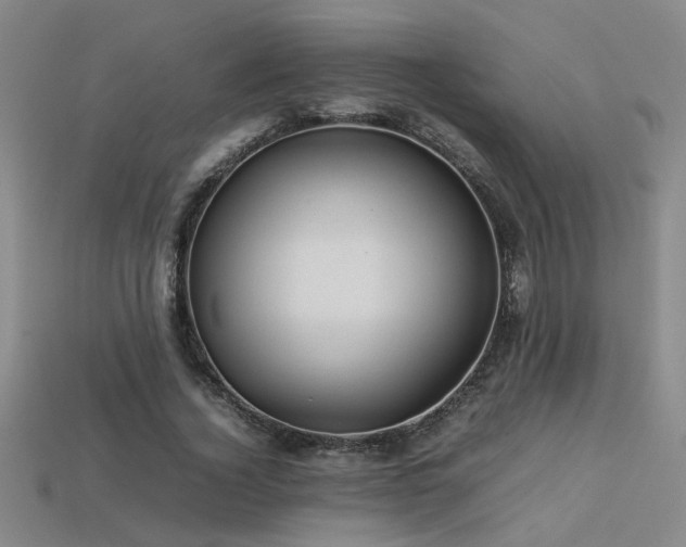 X0000113620732200909181439