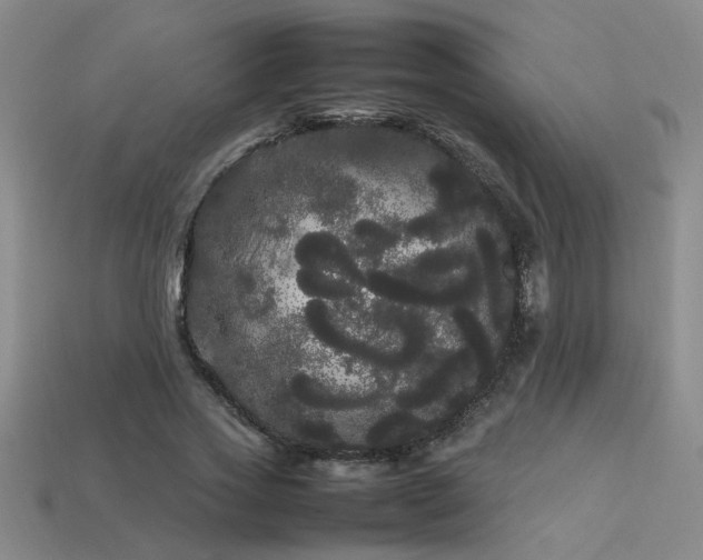 X0000113620733200909181439