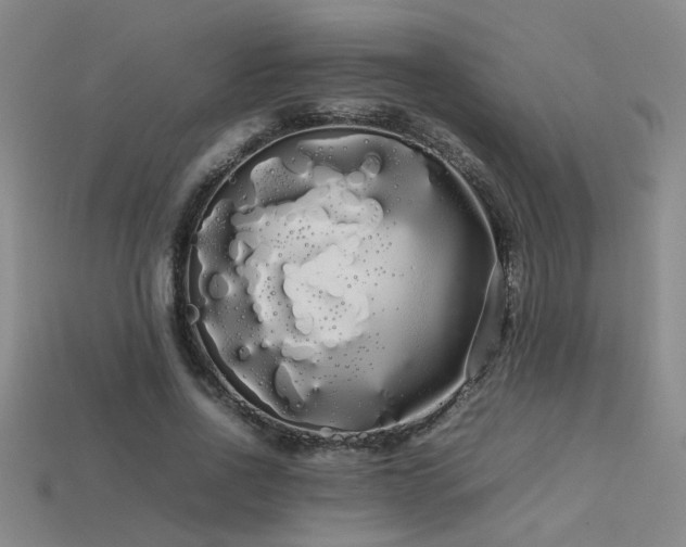 X0000113620734200909181439