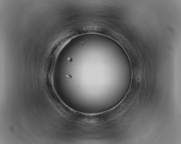 X0000113620735200909181439