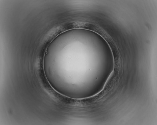 X0000113620738200909181439