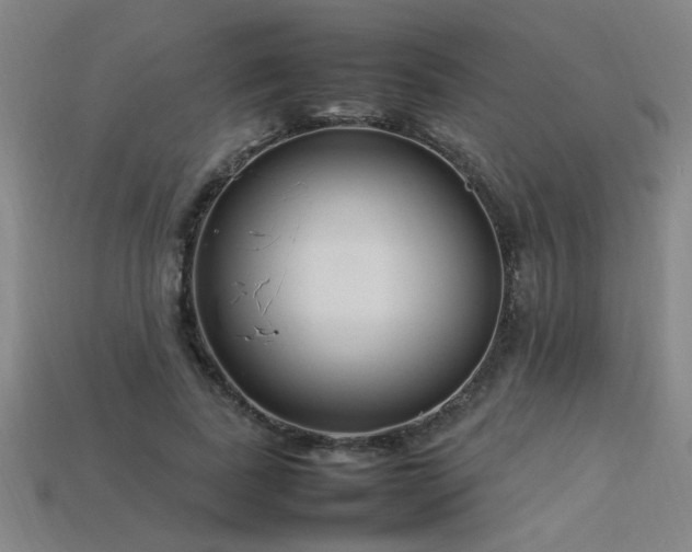 X0000113620739200909181439