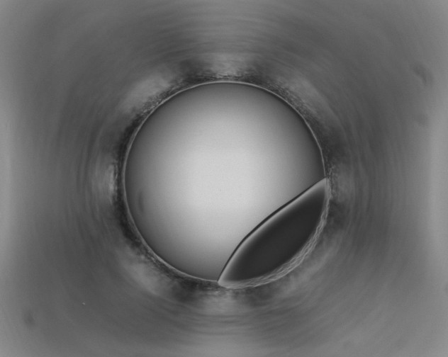 X0000113620740200909181439