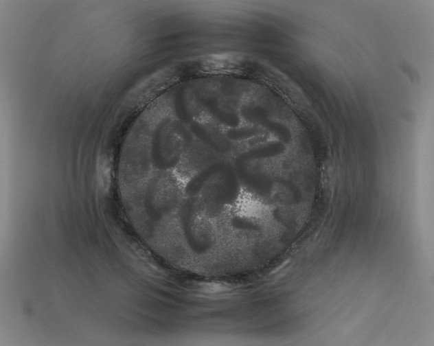 X0000113620741200909181439