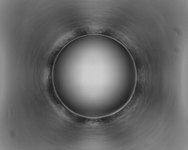 X0000113620742200909181439